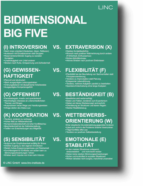 Bidimensionales BIG FIVE Modell